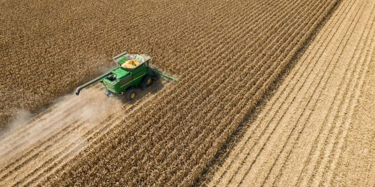 kienthuckinhdoanh360