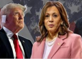 Harris đang dẫn trước Trump trong cuộc thăm dò mới sau khi Biden rút lui