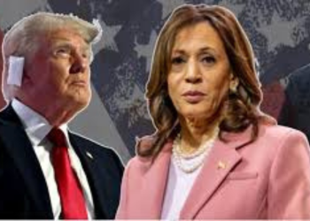 Harris đang dẫn trước Trump trong cuộc thăm dò mới sau khi Biden rút lui